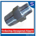 Stainless Steel Hexagon Reduced Nipple